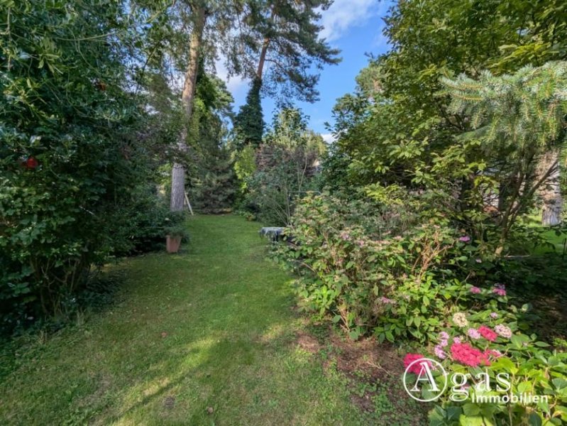 Schildow Gepflegtes Einfamilienhaus mit Sauna und Garage in Schildow Haus kaufen