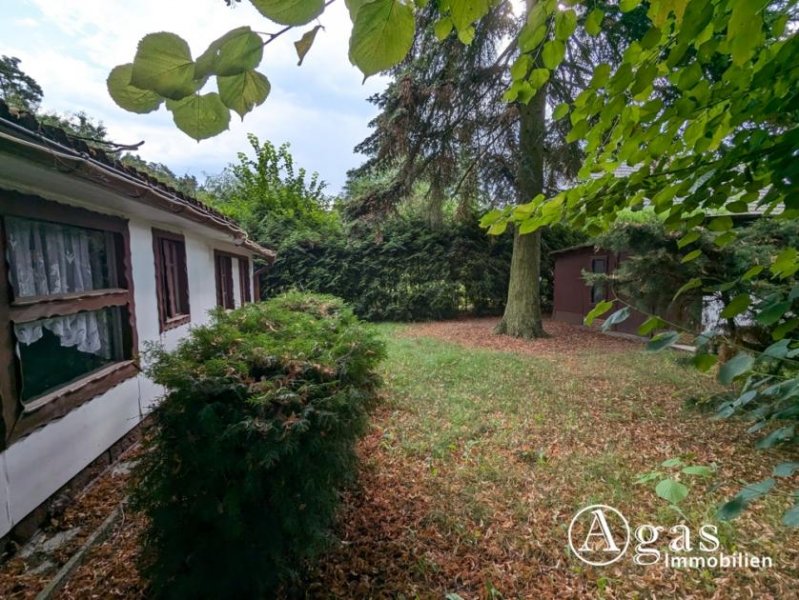 Bergfelde Bauträgerfreies Grundstück mit Bungalow in idyllischer Waldrandlage in Bergfelde Grundstück kaufen