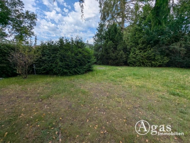 Bergfelde Bauträgerfreies Grundstück mit Bungalow in idyllischer Waldrandlage in Bergfelde Grundstück kaufen