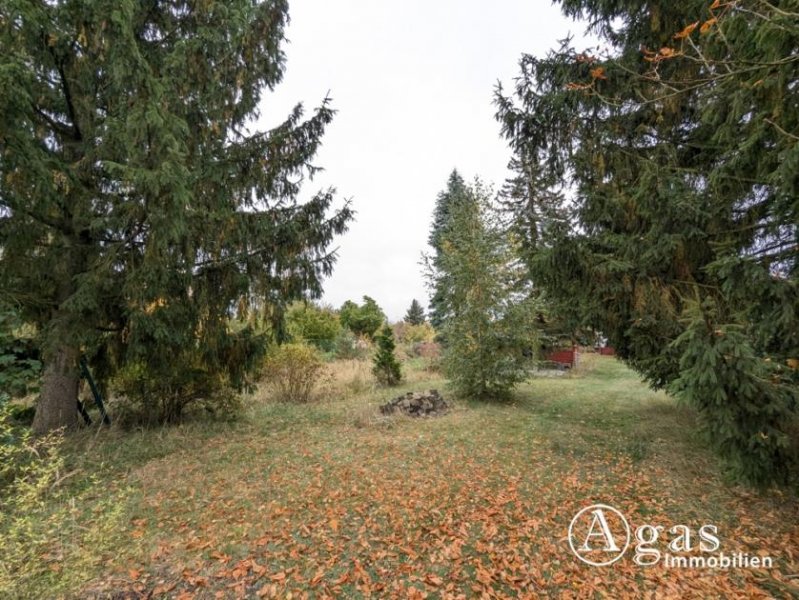 Velten Großes Grundstück (zukünftiges Bauland) in Velten Grundstück kaufen