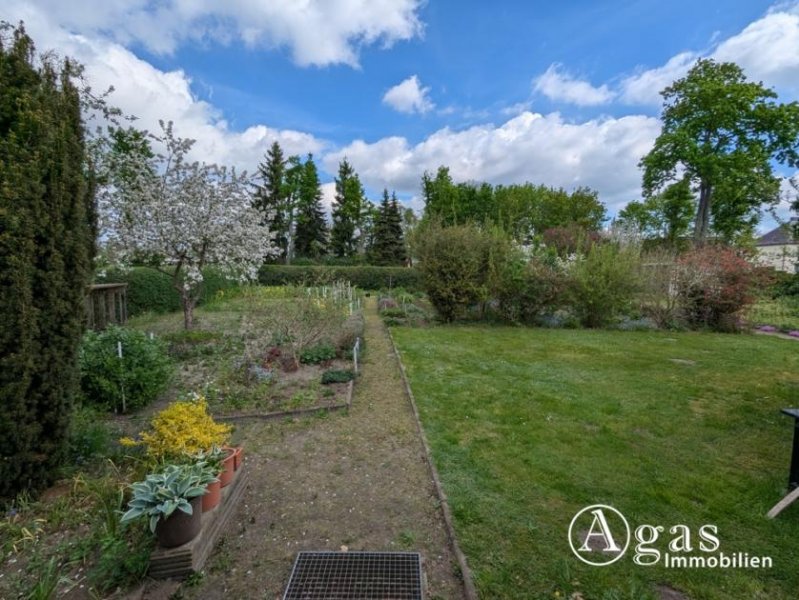 Zehdenick Großes Gartengrundstück mit Laube am Ortsrand von Zehdenick (Eigentum - keine Pacht, kein Verein) Grundstück kaufen