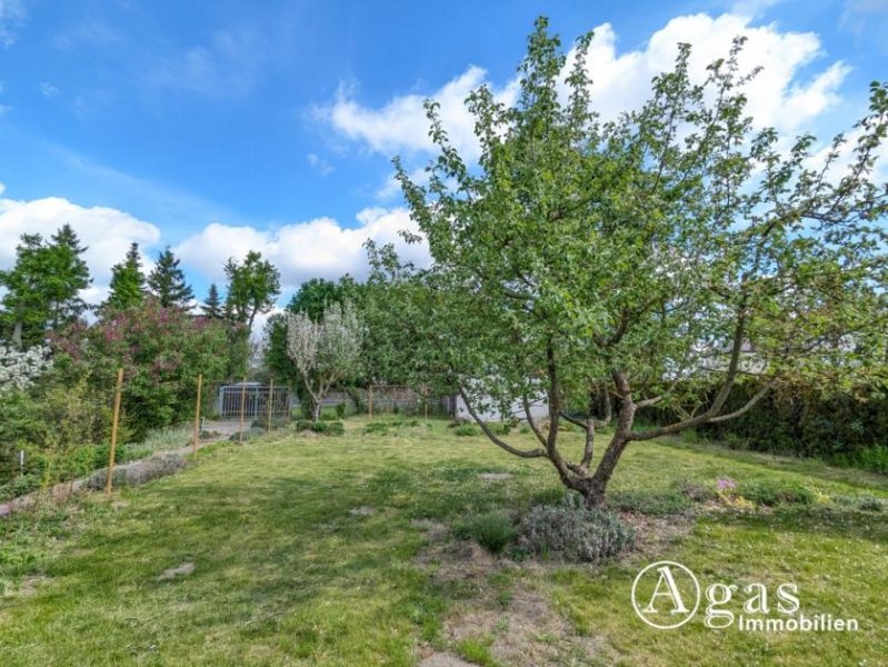 Zehdenick Großes Gartengrundstück mit Laube am Ortsrand von Zehdenick (Eigentum - keine Pacht, kein Verein) Grundstück kaufen