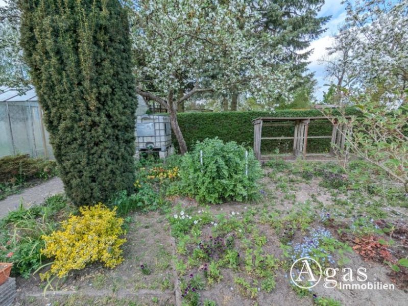 Zehdenick Großes Gartengrundstück mit Laube am Ortsrand von Zehdenick (Eigentum - keine Pacht, kein Verein) Grundstück kaufen