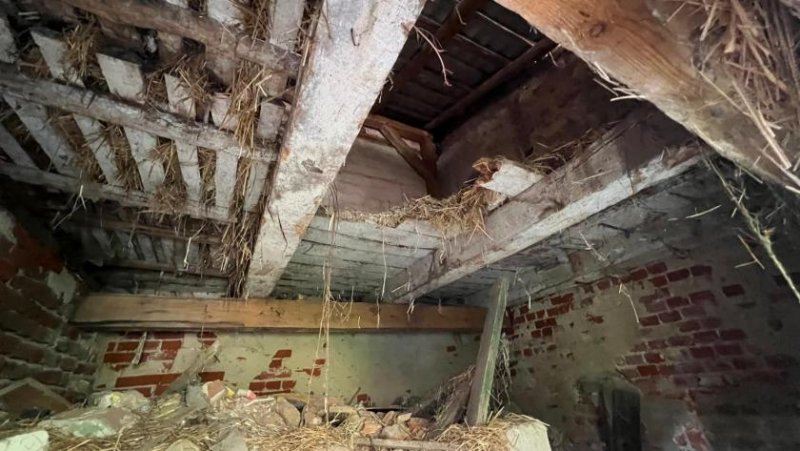 Fehrbellin Kleines Häuschen mit Remise (Abriss oder Sanierung) Haus kaufen