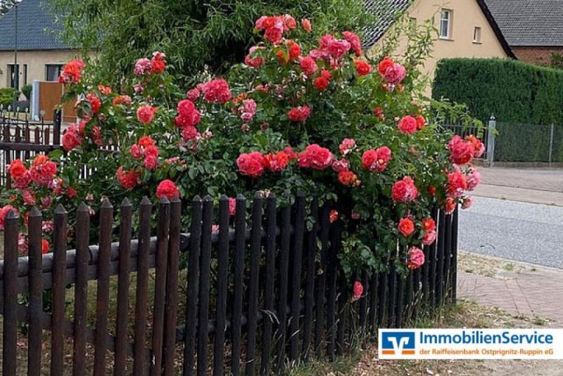 Breddin Ein Landhaus wie aus dem Bilderbuch: Komfort genießen, Tradition erleben Haus kaufen