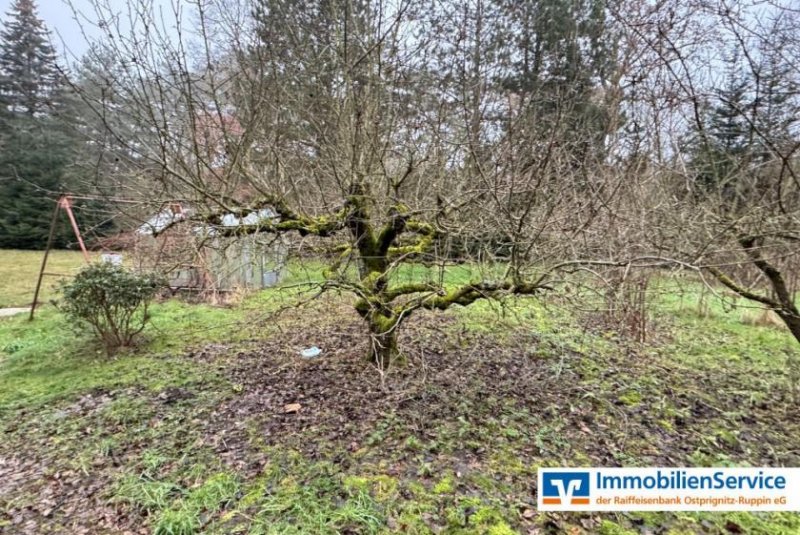 Dreetz (Landkreis Ostprignitz-Ruppin) Naturnahes Wohnen: Großzügiges Anwesen mit viel Platz und Waldanschluss Haus kaufen