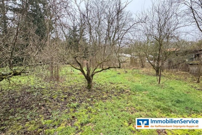 Dreetz (Landkreis Ostprignitz-Ruppin) Naturnahes Wohnen: Großzügiges Anwesen mit viel Platz und Waldanschluss Haus kaufen
