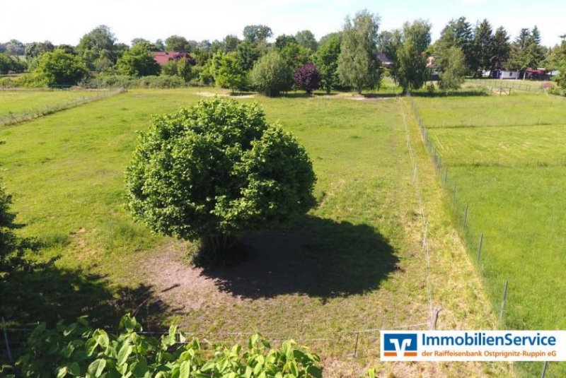 Sieversdorf-Hohenofen Landhaustraum in Perfektion - Wohnen mit Blick auf die eigenen Wiesen Haus kaufen