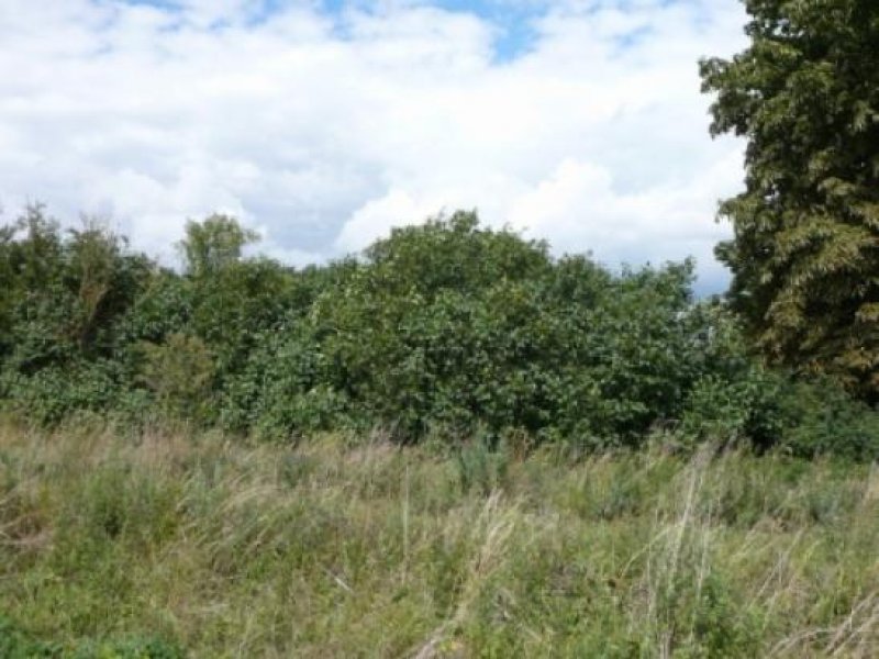 Bartow Grundstück in 17089 Gnevkow im Nachverkauf Verkaufsunterlagen anfordern Grundstück kaufen