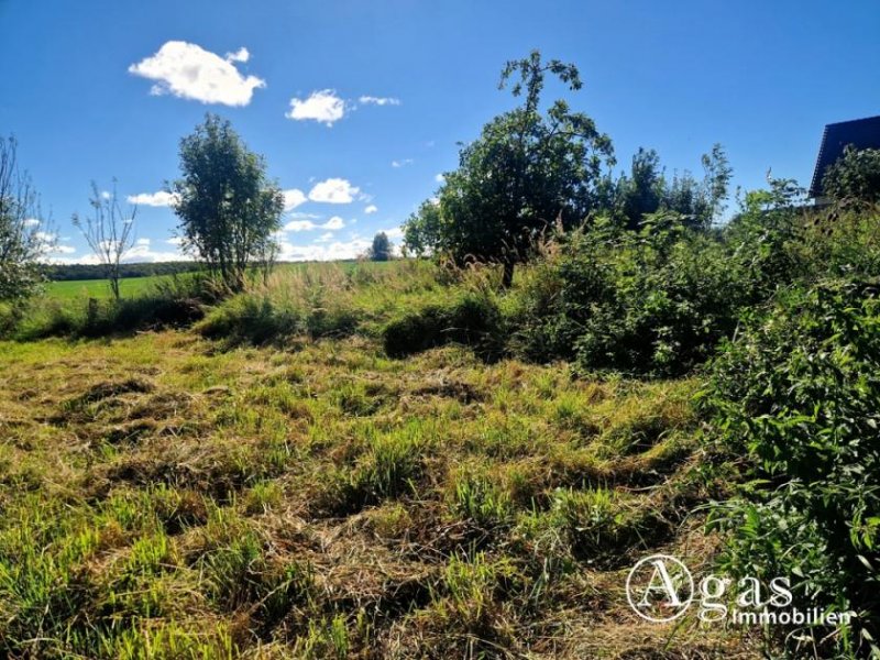 Cölpin Bauträgerfreies gutgeschnittenes Grundstück in Ortsrandlage Grundstück kaufen