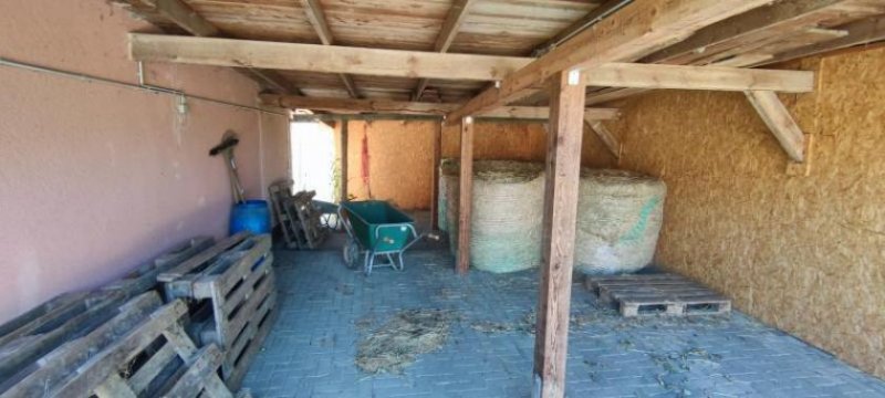 Loitz ObjNr:19725 - Hochwertig Saniertes Anwesen für Pferdeliebhaber oder Reitsportfreunde; Feriennutzung möglich Haus kaufen