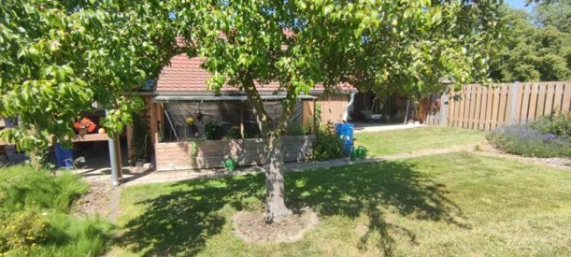 Loitz ObjNr:19725 - Hochwertig Saniertes Anwesen für Pferdeliebhaber oder Reitsportfreunde; Feriennutzung möglich Haus kaufen