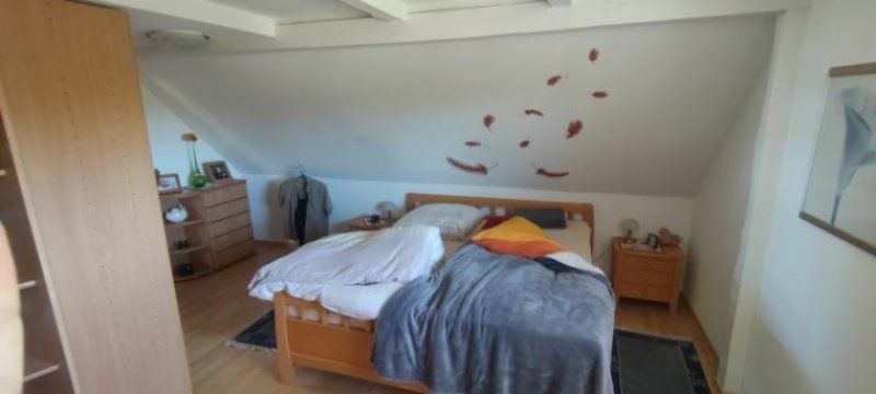 Loitz ObjNr:19725 - Hochwertig Saniertes Anwesen für Pferdeliebhaber oder Reitsportfreunde; Feriennutzung möglich Haus kaufen