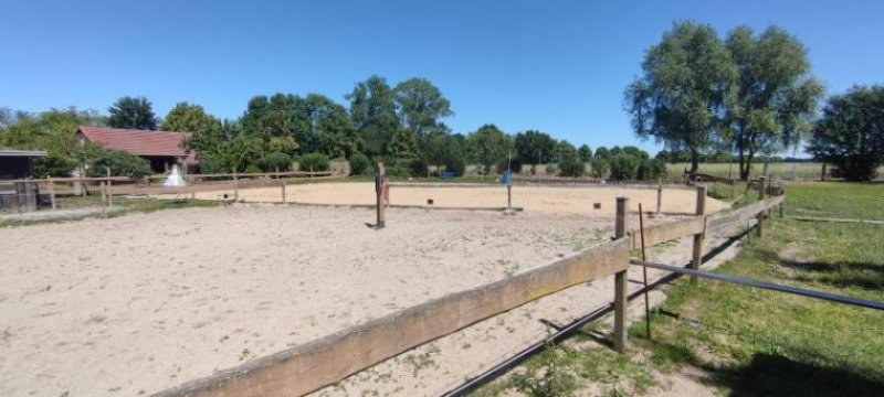Loitz ObjNr:19725 - Hochwertig Saniertes Anwesen für Pferdeliebhaber oder Reitsportfreunde; Feriennutzung möglich Haus kaufen