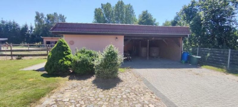 Loitz ObjNr:B-19725 - Für Pferdeliebhaber mit 4 Pferdeboxen ein hochwertiges Landhaus mt Nebengebäude Haus kaufen
