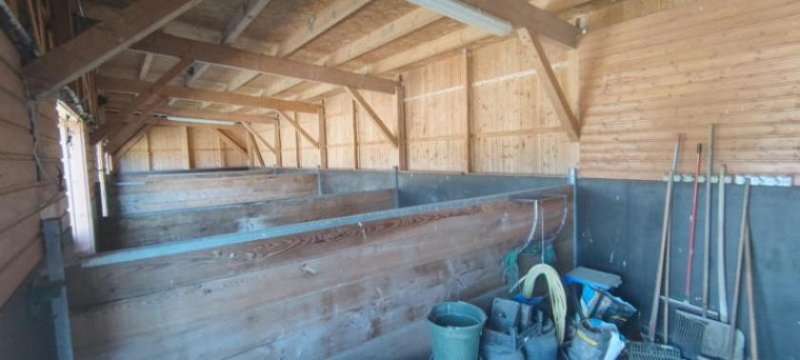 Loitz ObjNr:B-19725 - Für Pferdeliebhaber mit 4 Pferdeboxen ein hochwertiges Landhaus mt Nebengebäude Haus kaufen