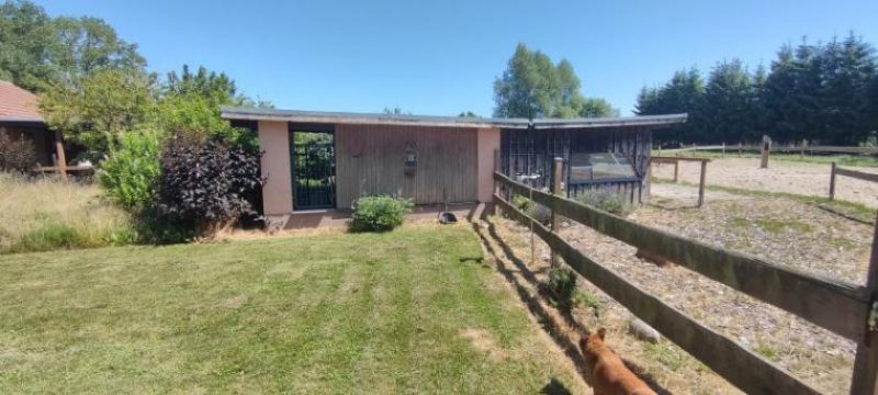 Loitz ObjNr:B-19725 - Für Pferdeliebhaber mit 4 Pferdeboxen ein hochwertiges Landhaus mt Nebengebäude Haus kaufen