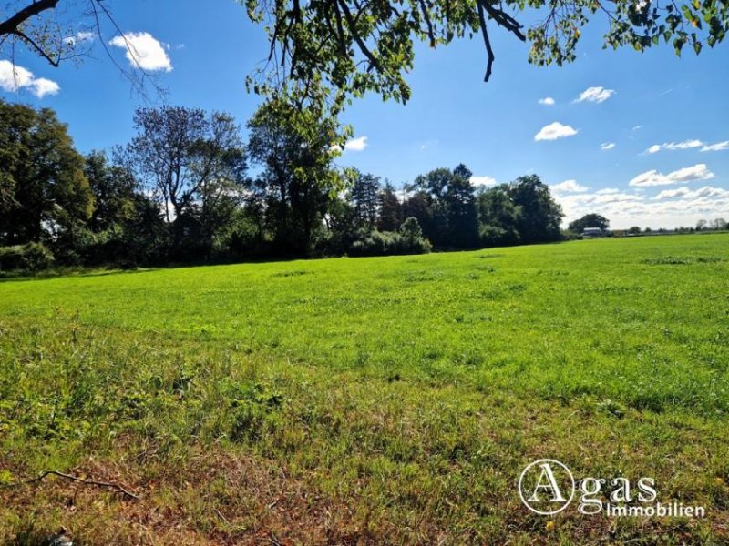 Möllenbeck Bauträgerfreies ca. 3.800m² großes Grundstück in wunderbarer Lage, Bauland ca. 1.500 m² Grundstück kaufen