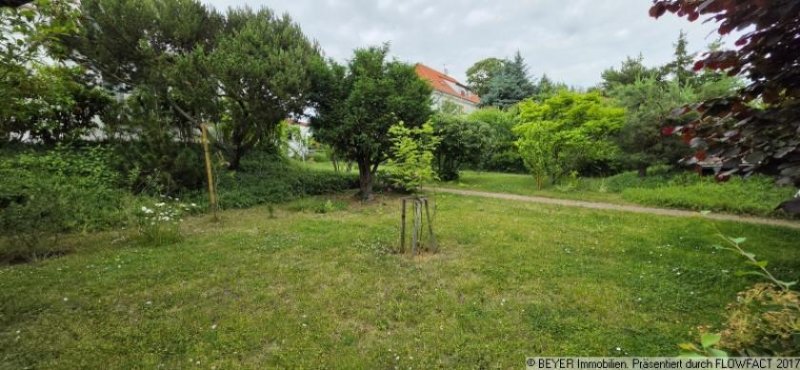 Prenzlau Historisches Fabrikantenhaus mit Obstgarten und originalem Charme in Prenzlau Haus kaufen