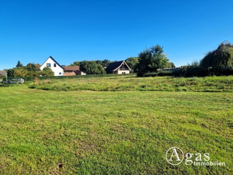 Mildenitz Bauträgerfreies ca. 1.976 m² großes Grundstück zu verkaufen Grundstück kaufen