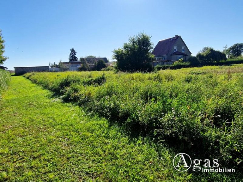 Mildenitz Bauträgerfreies ca. 1.976 m² großes Grundstück zu verkaufen Grundstück kaufen