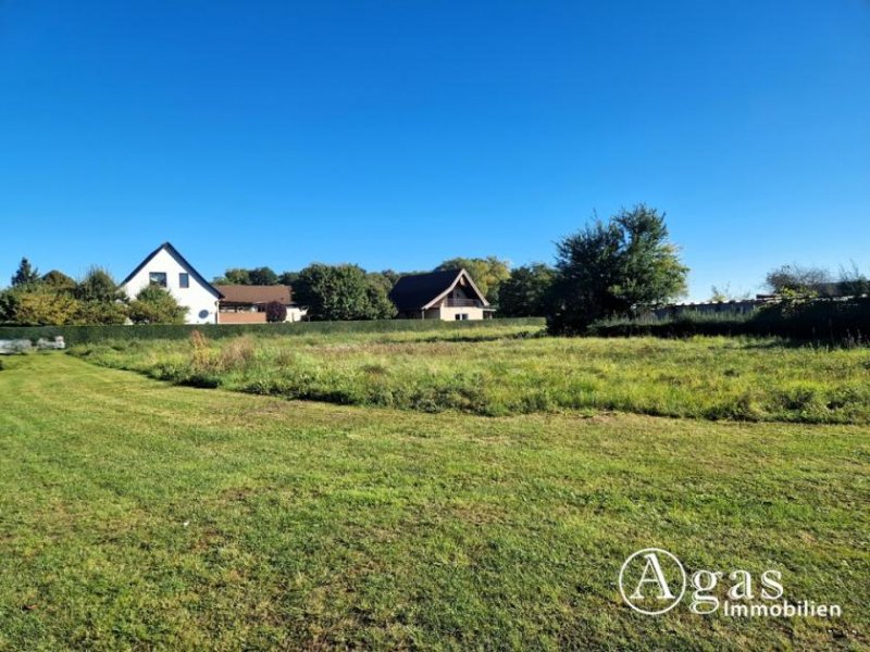 Mildenitz Bauträgerfreies ca. 1.976 m² großes Grundstück zu verkaufen Grundstück kaufen