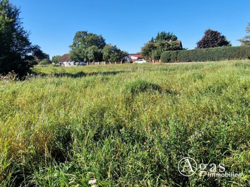 Mildenitz Bauträgerfreies ca. 1.976 m² großes Grundstück zu verkaufen Grundstück kaufen