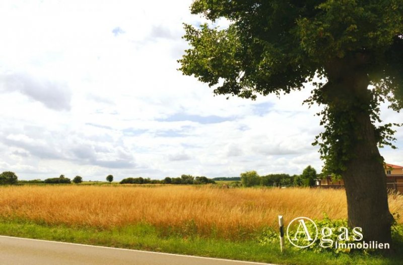 Groß Miltzow Gutgeschnittenes bauträgerfreies Grundstück in Groß Miltzow nahe der Insel Usedom Grundstück kaufen