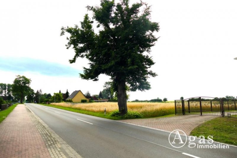 Groß Miltzow Gutgeschnittenes bauträgerfreies Grundstück in Groß Miltzow nahe der Insel Usedom Grundstück kaufen