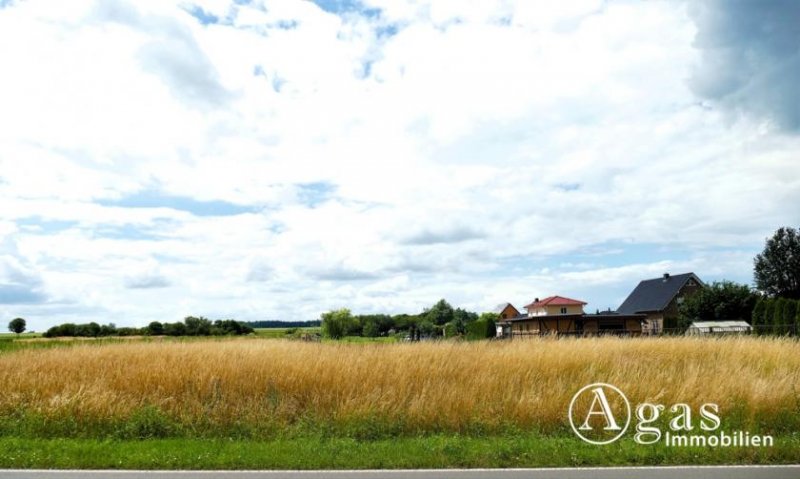 Groß Miltzow Gutgeschnittenes bauträgerfreies Grundstück in Groß Miltzow nahe der Insel Usedom Grundstück kaufen