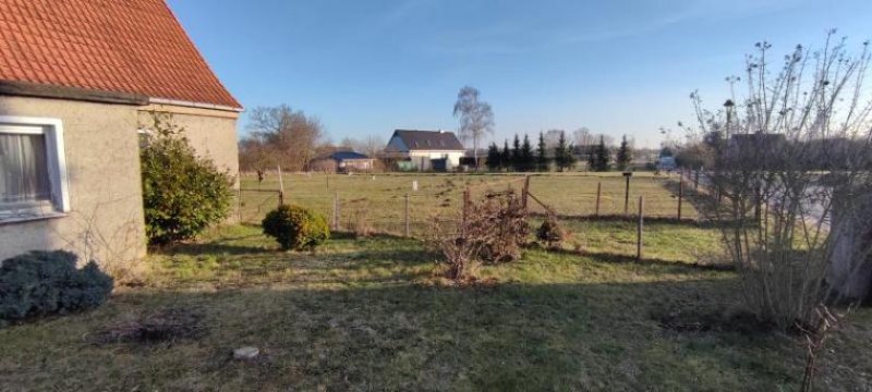 Neu Kosenow ObjNr:B-19111 - Viel Grundstück für Tierliebhaber Haus kaufen