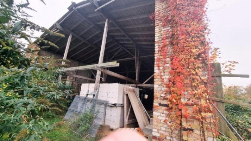 Dargen -Landschaftsliebhaber aufgepaßt!!- Grundstück kaufen