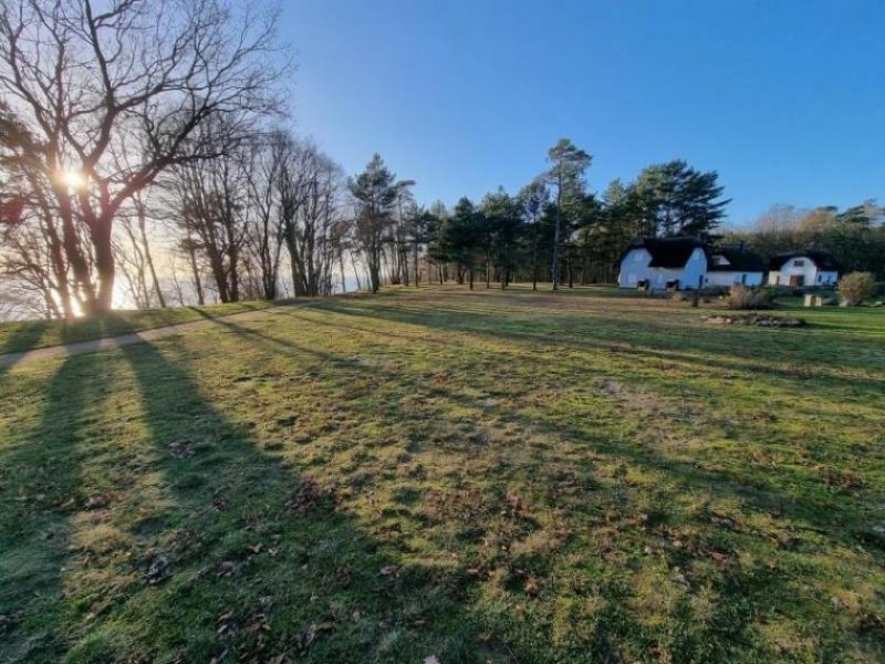 Zirchow
---------Exquisite Wohlfühl-Oase am Haff --- Haus kaufen