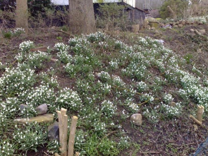 Lütow Grünes Refugium - Grundstück in Randlage in Neuendorf Grundstück kaufen