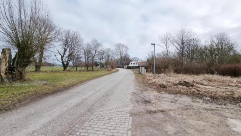 Lütow Grünes Refugium - Grundstück in Randlage in Neuendorf Grundstück kaufen