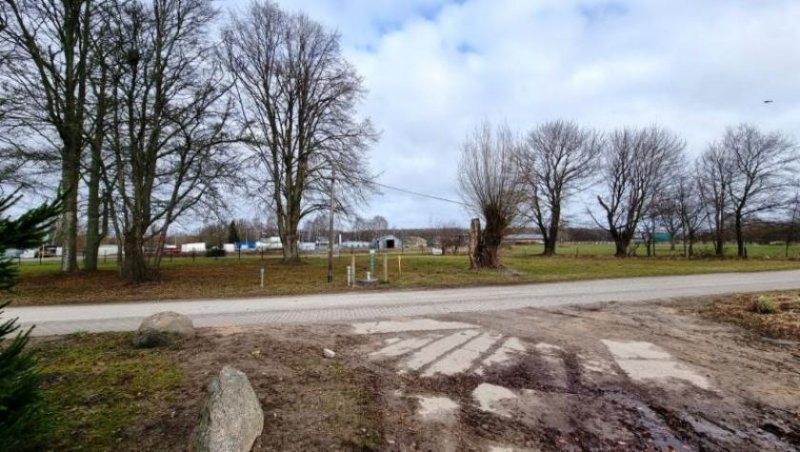 Lütow Grünes Refugium - Grundstück in Randlage in Neuendorf Grundstück kaufen