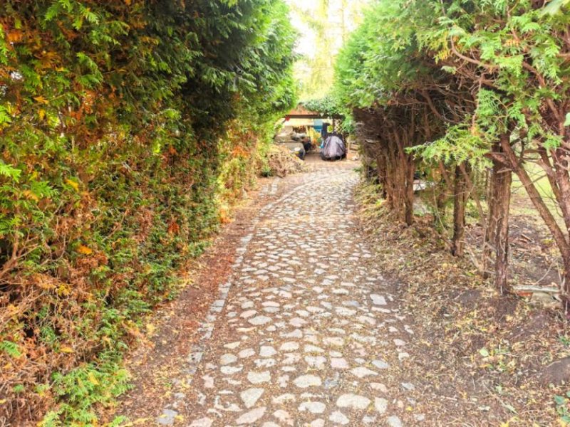 Zinnowitz Mehrfamilienhaus in Zinnowitz - ca. 1,5 km Fußweg zur Ostsee Haus kaufen