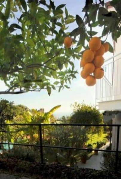 Sanremo Villa Sanremo Haus kaufen