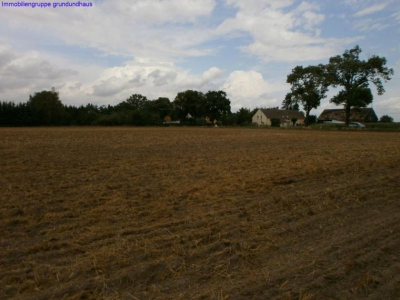 Süderholz großzüig bebaubares Grundstück bei Greifswald / Bodden Grundstück kaufen