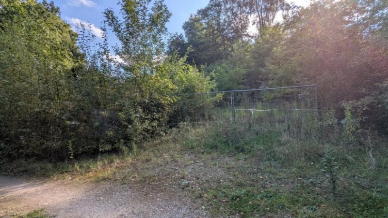 Rosengarten Großes Grundstück in Traumlage am Wald! Grundstück kaufen