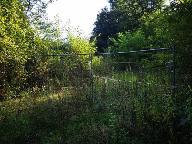 Rosengarten Großes Grundstück in Traumlage am Wald! Grundstück kaufen