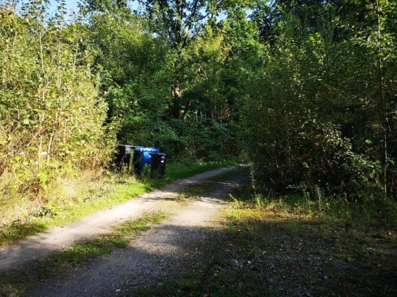 Rosengarten Großes Grundstück in Traumlage am Wald! Grundstück kaufen