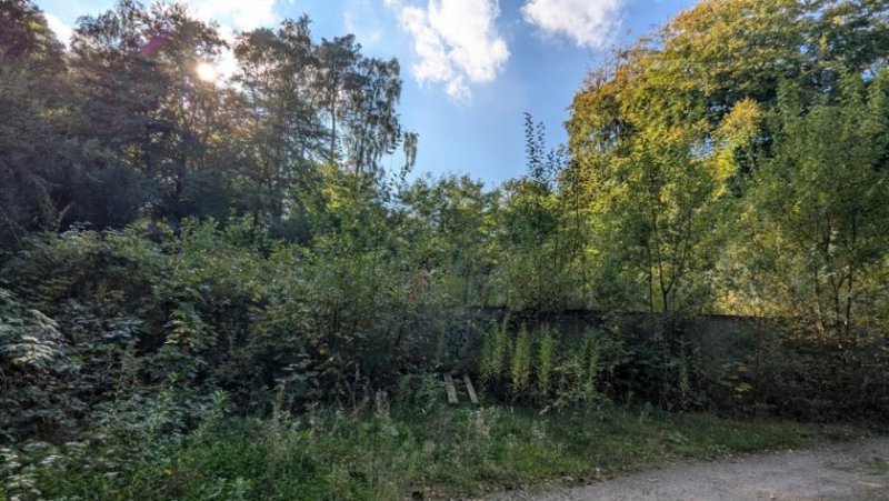 Rosengarten Großes Grundstück in Traumlage am Wald! Grundstück kaufen