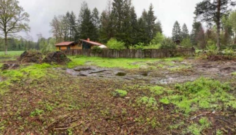 Handeloh Baugrundstück am Rande der Lüneburger Heide Grundstück kaufen
