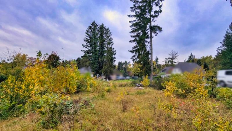 Stelle Natur nahes Wohnen, umgeben von Wald und Feld in Ashausen Büllhorn! Grundstück kaufen