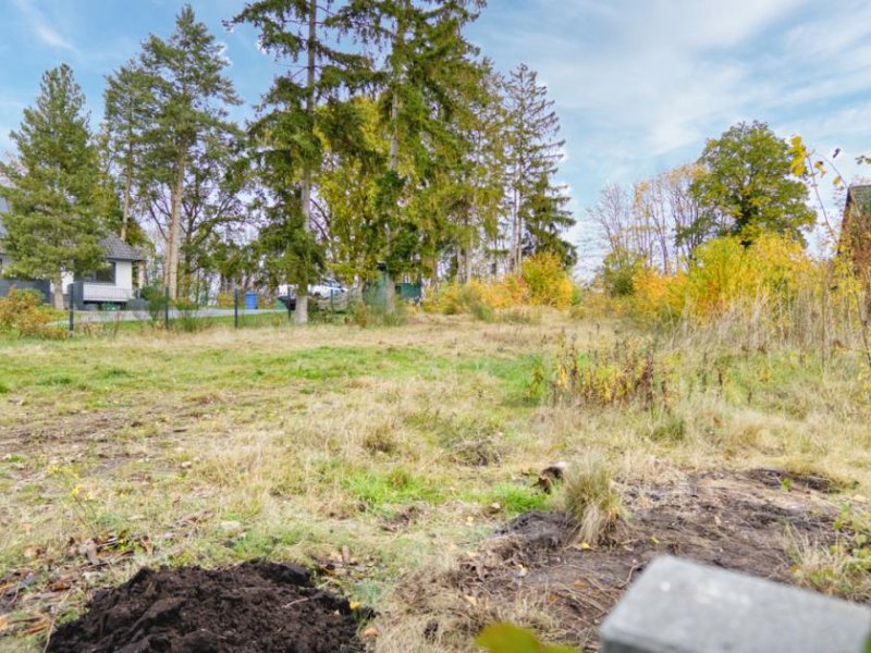 Stelle Natur nahes Wohnen, umgeben von Wald und Feld in Ashausen Büllhorn! Grundstück kaufen