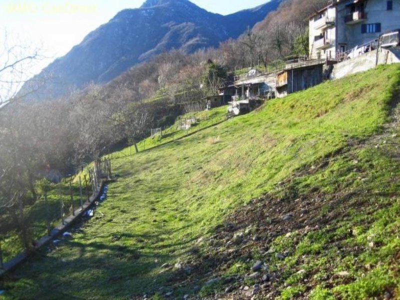 Corrido Schönes Baugrundstück "Eliseo" mit herrlichem Panoramablick auf den Luganer See Grundstück kaufen