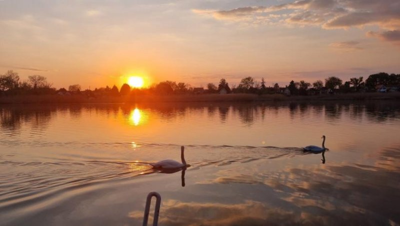 Taksony Haus am Donaukanal bei Budapest Haus kaufen