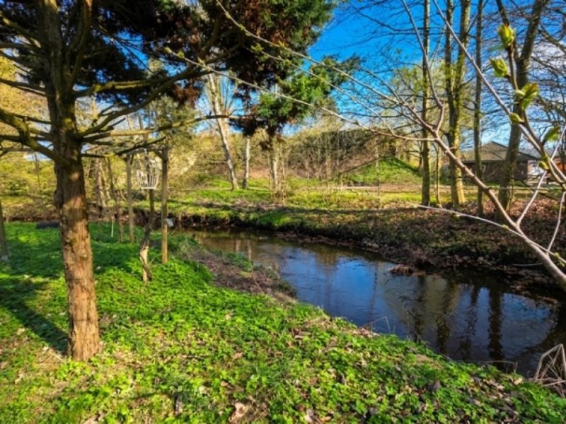 Rellingen Zuhause statt einfach nur Immobilie – gepflegtes Reihenhaus mit idyllischem Garten an der Mühlenau Haus kaufen