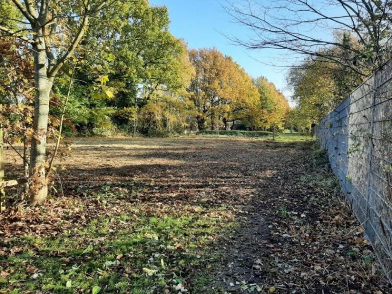 Hohenlockstedt Baugrundstück in Hohenlockstedt 






















Grundstück Höhenlockstedt zu verkaufen: WA - II - GRZ 0,3  